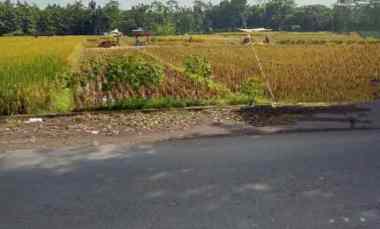 Tanah Sawah Produktiv Pinggir Jln Utama