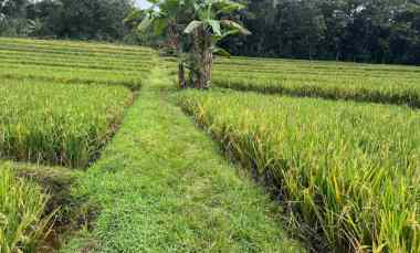 Tanah Dijual di Mojogedang, Karanganyar, Solo, Jawa Tengah