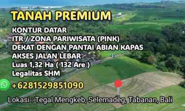 Tanah Sawah Zona Pink Pariwisata di Tabanan Bali