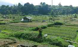 Tanah Komersial Sayap Jalan Sersan Bajuri Bandung