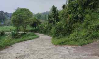 tanah shm di cijeruk tajur halang bogor