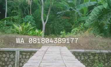 Tanah SHM Kalidengen Temon dekat Bandara YIA