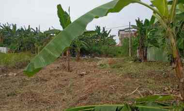 Tanah SHM Ready di Sendangmulyo Tembalang Semarang