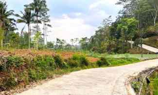 Tanah Dijual di Tawangmangu, Karanganyar, Solo, Jawa Tengah