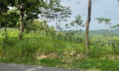 Tanah Dijual di Sambirejo Sragen, Jawa Tengah