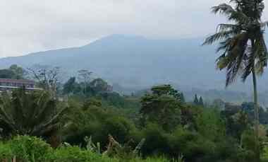 Tanah Dijual di Subang