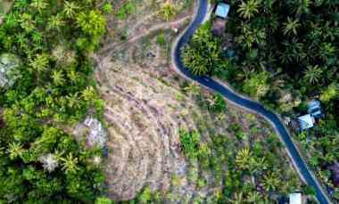 Tanah Dijual di Madenan Buleleng Bali