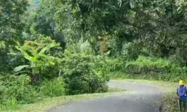 Tanah Dijual di Madenan Buleleng Bali
