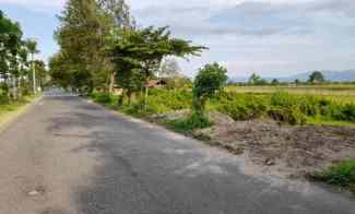 Tanah Dijual di Jl. Candi Plaosan, Area Sawah, Bugisan, Prambanan, Klaten