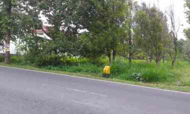 Tanah Dijual di Jalan Salatiga Kopeng