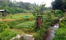 Tanah Produktif Subang Jawa Barat