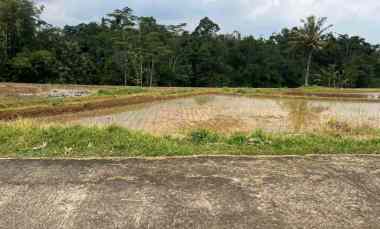 Tanah Dijual di Mojogedang, Karanganyar, Solo, Jawa Tengah