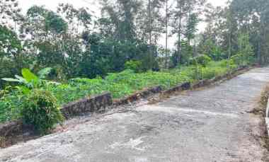 Tanah Subur 6000m Kawasan Wisata Karangpandan