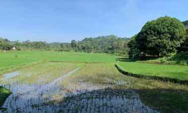 Tanah sudah SHM di Pusat Kota Cianjur