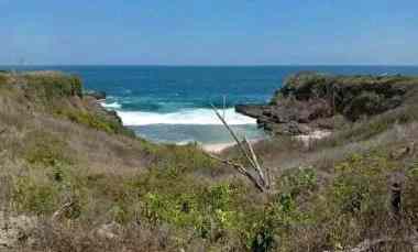 Tanah Dijual di Lunyuk Sumbawa NTB