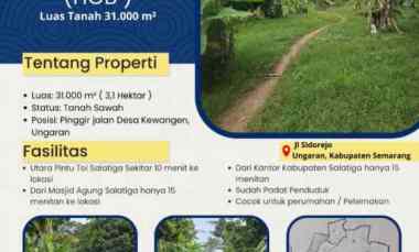 Tanah Tegal Luas di Perkotaan