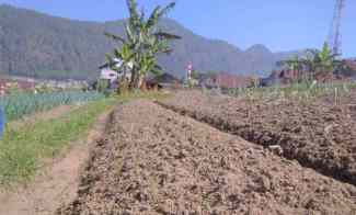 tanah udara dingin 300m tawangmangu karanganyar