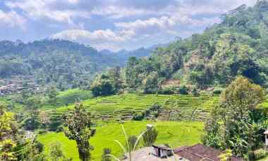 tanah udara dingin 3500m kota wisata kemuning