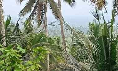 Tanah View Gunung dan Lembah dekat Villa Bali Palm