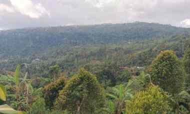 tanah view gunung dan lembah di munduk singaraja bali