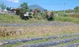 Tanah View Gunung dekat Karmel Bedugul Bali