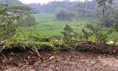 tanah view hamparan sawah 1710m karangpandan