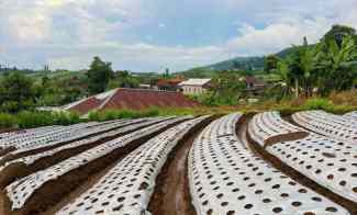 Tanah View Istimewa 200m Kemuning Karanganyar