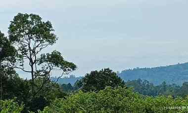 tanah view laut dan gunung di kemiling luas 4000m shm