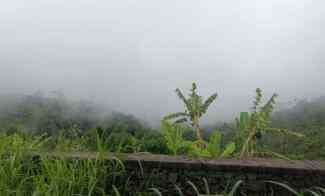 tanah view laut dan lembah dekat munduk dan wanagiri