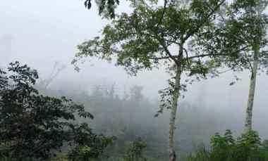 Tanah View Laut dan Lembah di Wanagiri Singaraja Bali