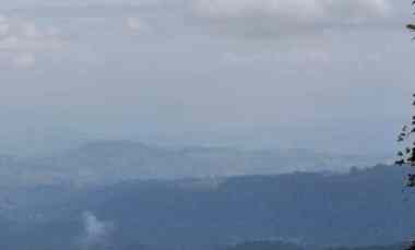 Tanah View Sawah dan Gunung di Munduk Singaraja Bali