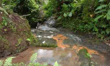 Tanah Zona Kuning Ada Mata Air Panas di Penebel Tabanan Bali