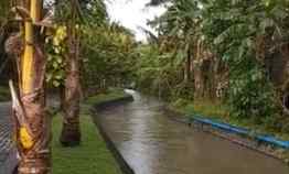 Tanah View Sungai 10 menit dari Canggu Bali