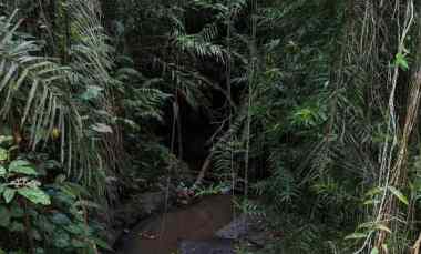 tanah view sungai dan jungle di keliki ubud bali