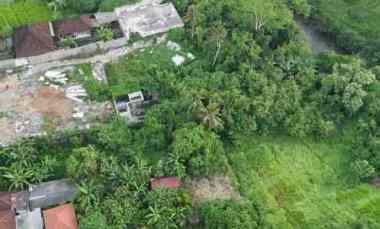tanah view sungai dan jungle di lodtunduh ubud bali