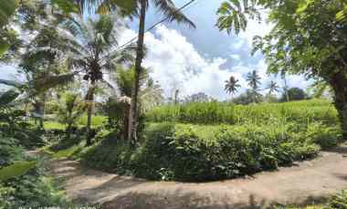 Tanah Dijual di Tegallalang, Gianyar, Bali