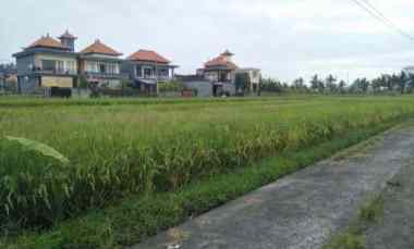 tanah zona pariwisata view sawah di sayan ubud bali