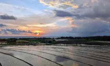 Tanah Zona Pink 600 meter dari Pantai Kelecung Bali