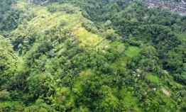 Ubud Pemandangan Hutan Lindung dan Sungai