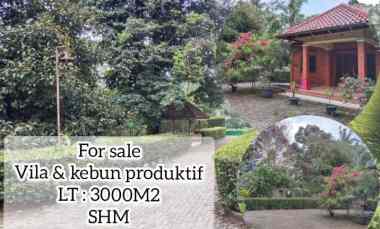 Vila Kebun Produktif, Jalan Cagak Subang