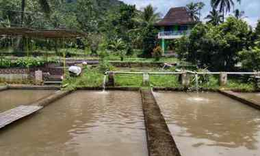 Villa Dijual di Subang