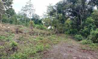 yellow zone land in belimbing sari pecatu for lease