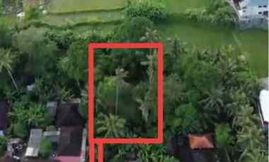 Tanah Disewakan di Pejeng, Gianyar, Bali
