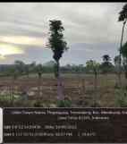 dijual tanah desa temandang kevamatan