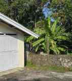 dijual tanah jl semboja no 2 rt 3 rw 8