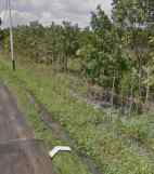 dijual tanah jl teterusan mapanget